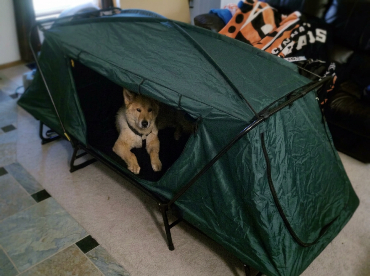 Nuba resting in a portable tent cot