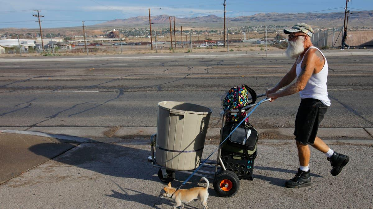 A person with a cart walking alongside their dog